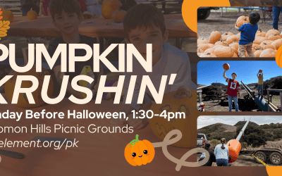 Pumpkin Krushin’